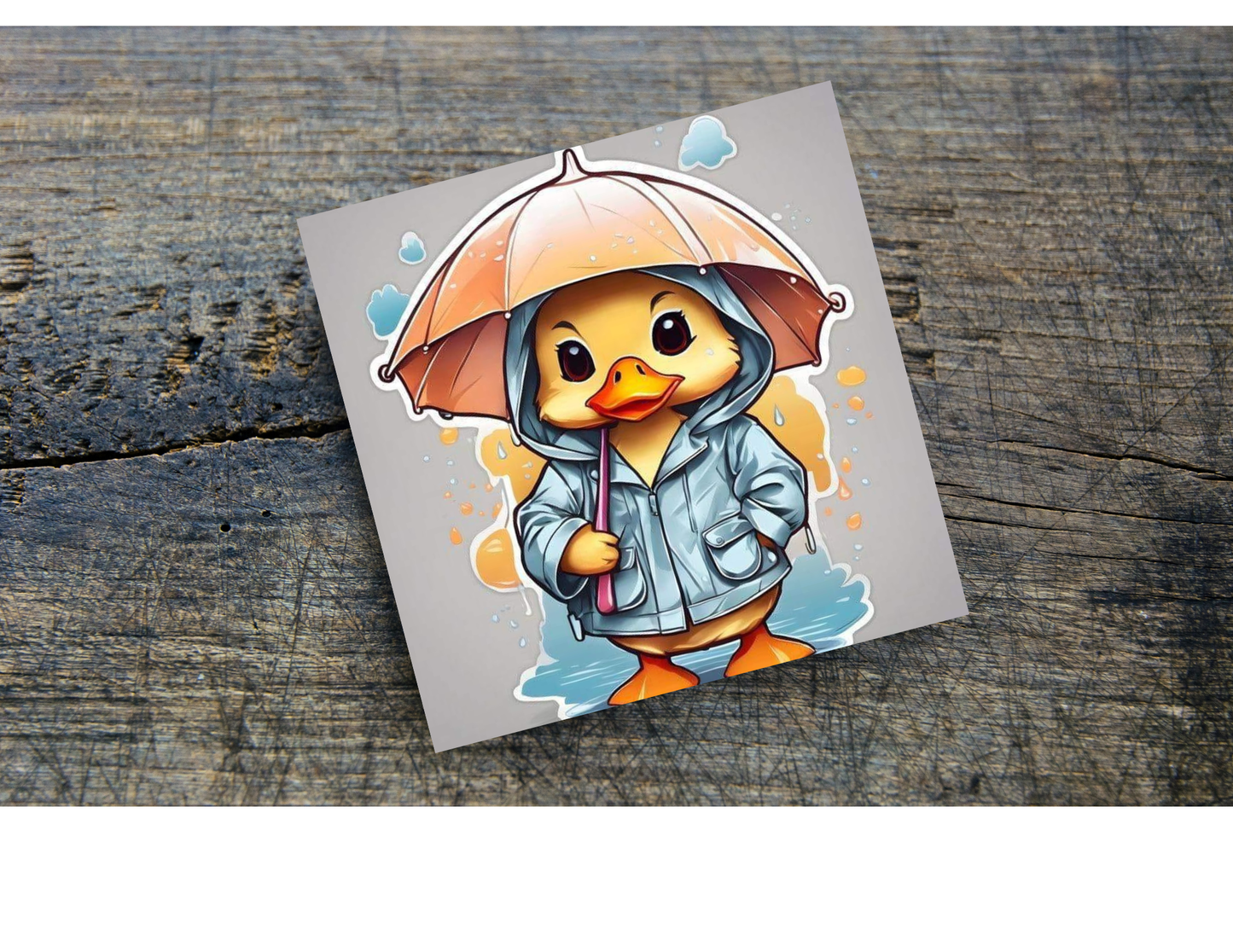 Cat & Ducks Home Coasters, several designs