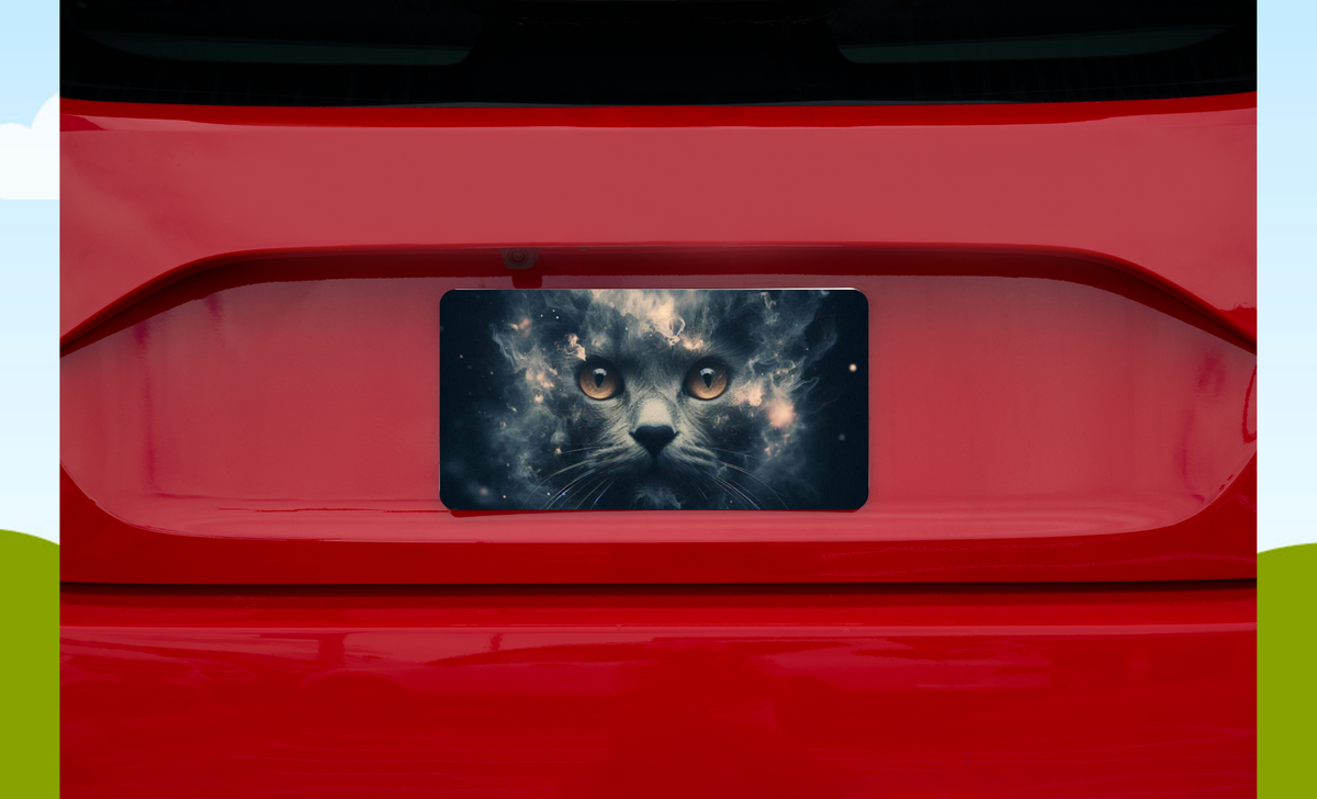 License Plates