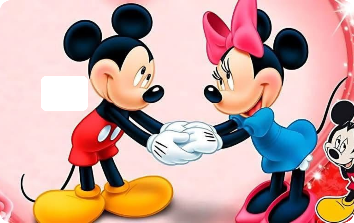 Mouse & Friends Cartoon Design Debit Card Skins
